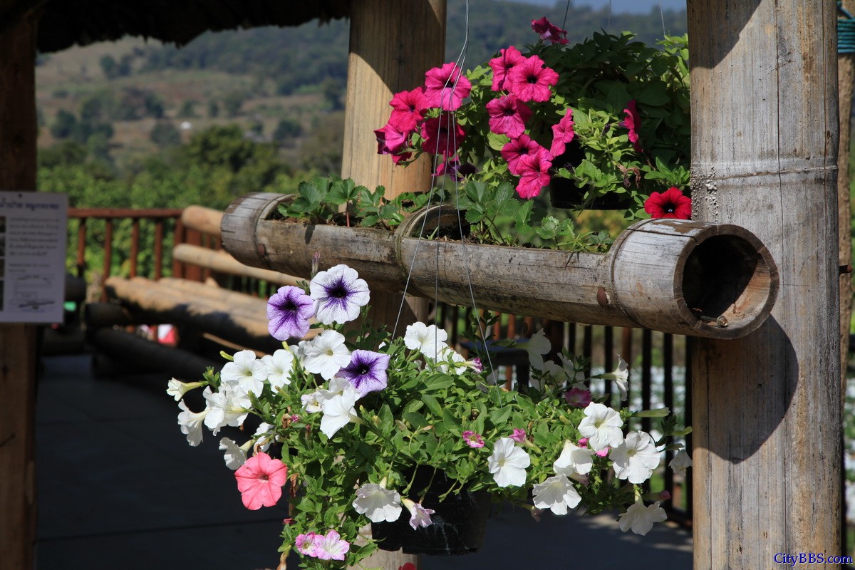 泰国北部清迈至Pai县自驾游 泰国北部清迈至Pai县自驾游