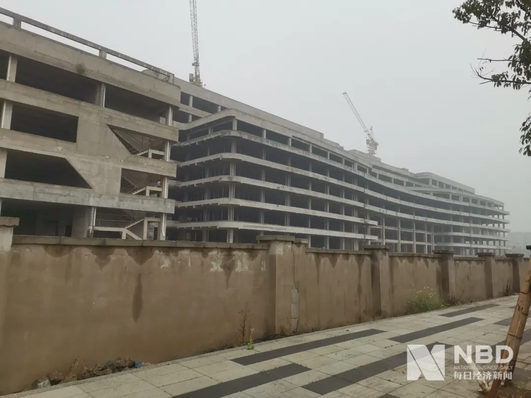 武汉弘芯半导体项目外立面.png 武汉弘芯半导体项目外立面.png