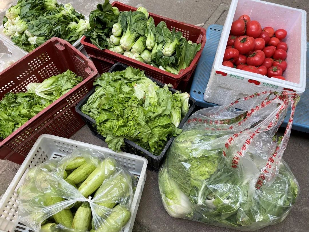 给老人送菜的上海物流司机 给老人送菜的上海物流司机