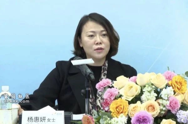 碧桂园董事会主席杨惠妍 碧桂园董事会主席杨惠妍