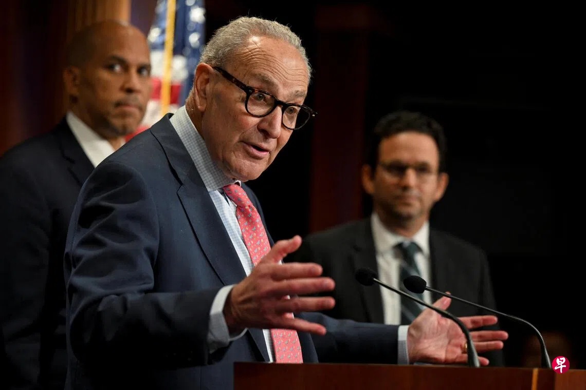 参议院少数党领袖查克·舒默在其他民主党参议员的陪同下举行新闻发布会